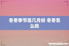 冬枣季节是几月份 冬枣怎么挑