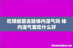 吃辣椒能去除体内湿气吗 体内湿气重吃什么好