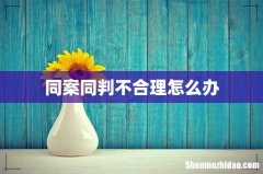 同案同判不合理怎么办