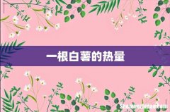 一根白薯的热量