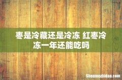 枣是冷藏还是冷冻 红枣冷冻一年还能吃吗
