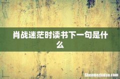 肖战迷茫时读书下一句是什么