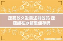 莲藕放久发黄还能吃吗 莲藕能在冰箱里保存吗