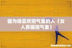 女人养猫阴气重 猫为啥喜欢阴气重的人