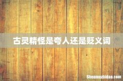 古灵精怪是夸人还是贬义词