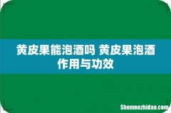 黄皮果能泡酒吗 黄皮果泡酒作用与功效