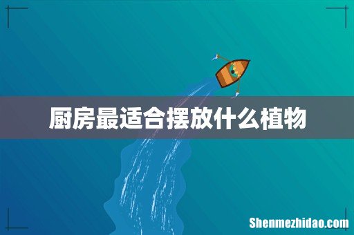 厨房最适合摆放什么植物