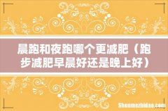 跑步减肥早晨好还是晚上好 晨跑和夜跑哪个更减肥
