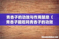 青杏子能吃吗青杏子的功效与作用 青杏子的功效与作用禁忌