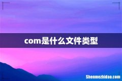 com是什么文件类型