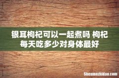 银耳枸杞可以一起煮吗 枸杞每天吃多少对身体最好