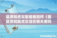 属鼠男和属虎女适合做夫妻吗 鼠男和虎女配婚姻如何