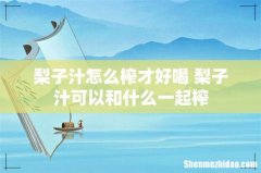 梨子汁怎么榨才好喝 梨子汁可以和什么一起榨