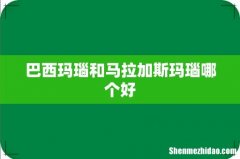 巴西玛瑙和马拉加斯玛瑙哪个好