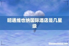 昭通维也纳国际酒店是几星级