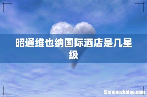 昭通维也纳国际酒店是几星级