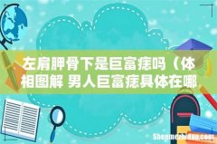 体相图解 男人巨富痣具体在哪里 左肩胛骨下是巨富痣吗
