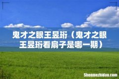 鬼才之眼 王昱珩看扇子是哪一期 鬼才之眼王昱珩