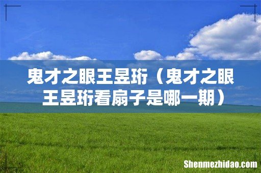 鬼才之眼 王昱珩看扇子是哪一期 鬼才之眼王昱珩