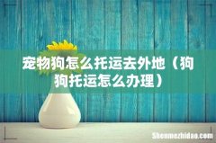 狗狗托运怎么办理 宠物狗怎么托运去外地