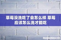 草莓没洗吃了会怎么样 草莓应该怎么洗才能吃