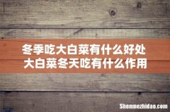冬季吃大白菜有什么好处 大白菜冬天吃有什么作用