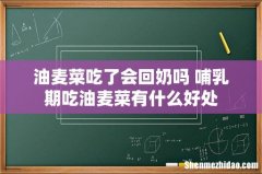 油麦菜吃了会回奶吗 哺乳期吃油麦菜有什么好处