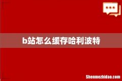 b站怎么缓存哈利波特