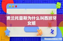 费兰托雷斯为什么叫西班牙女婿