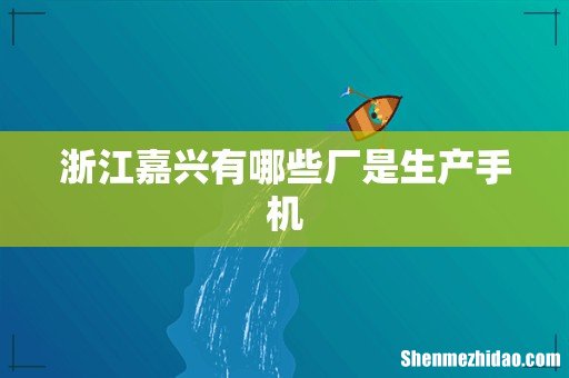 浙江嘉兴有哪些厂是生产手机