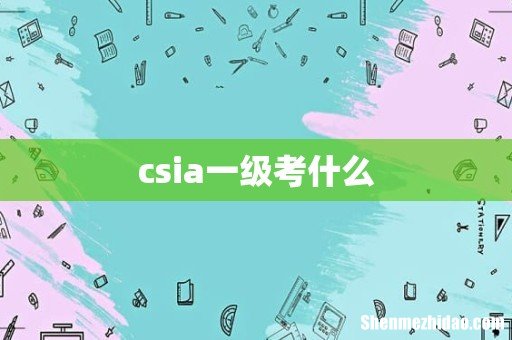 csia一级考什么