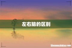 左右脑的区别