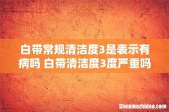 白带常规清洁度3是表示有病吗 白带清洁度3度严重吗