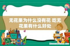 无花果为什么没有花 吃无花果有什么好处