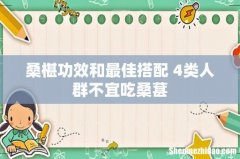 桑椹功效和最佳搭配 4类人群不宜吃桑葚