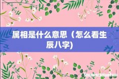 属相是什么意思（怎么看生辰八字)