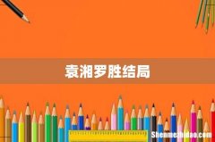 袁湘罗胜结局