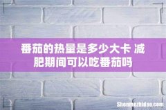 番茄的热量是多少大卡 减肥期间可以吃番茄吗