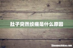 肚子突然绞痛是什么原因