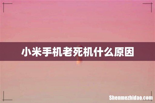 小米手机老死机什么原因