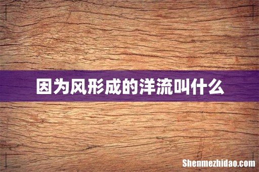 因为风形成的洋流叫什么