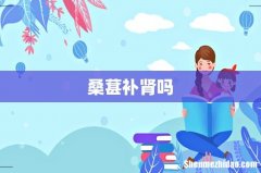 桑葚补肾吗