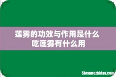 莲雾的功效与作用是什么 吃莲雾有什么用