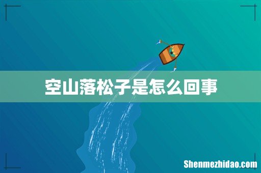 空山落松子是怎么回事