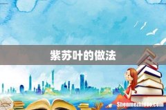 紫苏叶的做法