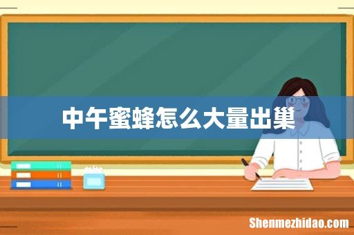 中午蜜蜂怎么大量出巢