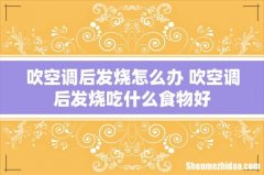 吹空调后发烧怎么办 吹空调后发烧吃什么食物好