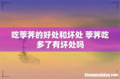 吃荸荠的好处和坏处 荸荠吃多了有坏处吗