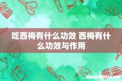 吃西梅有什么功效 西梅有什么功效与作用