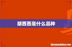 胡西西是什么品种